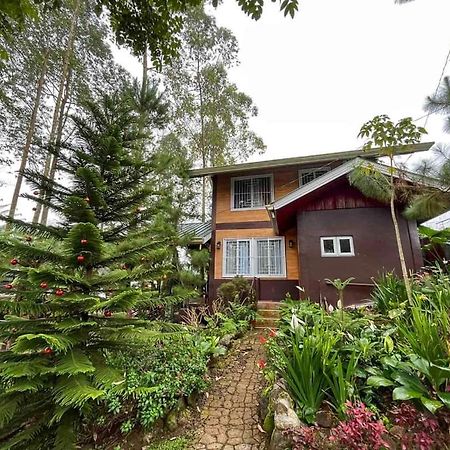 Dahilayan Comfy Cabin Manolo Fortich Exteriör bild